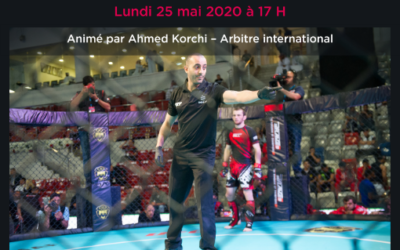 Webinar lundi 25 mai – Point d’étape sur le Code Sportif du MMA