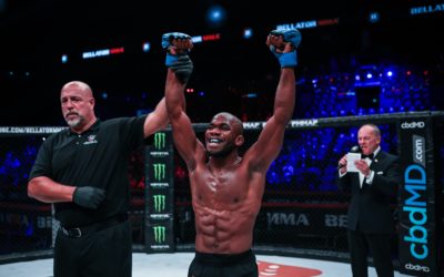 Le MMA français franchit un palier