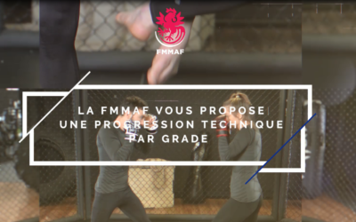 Apprendre le MMA pas à pas !