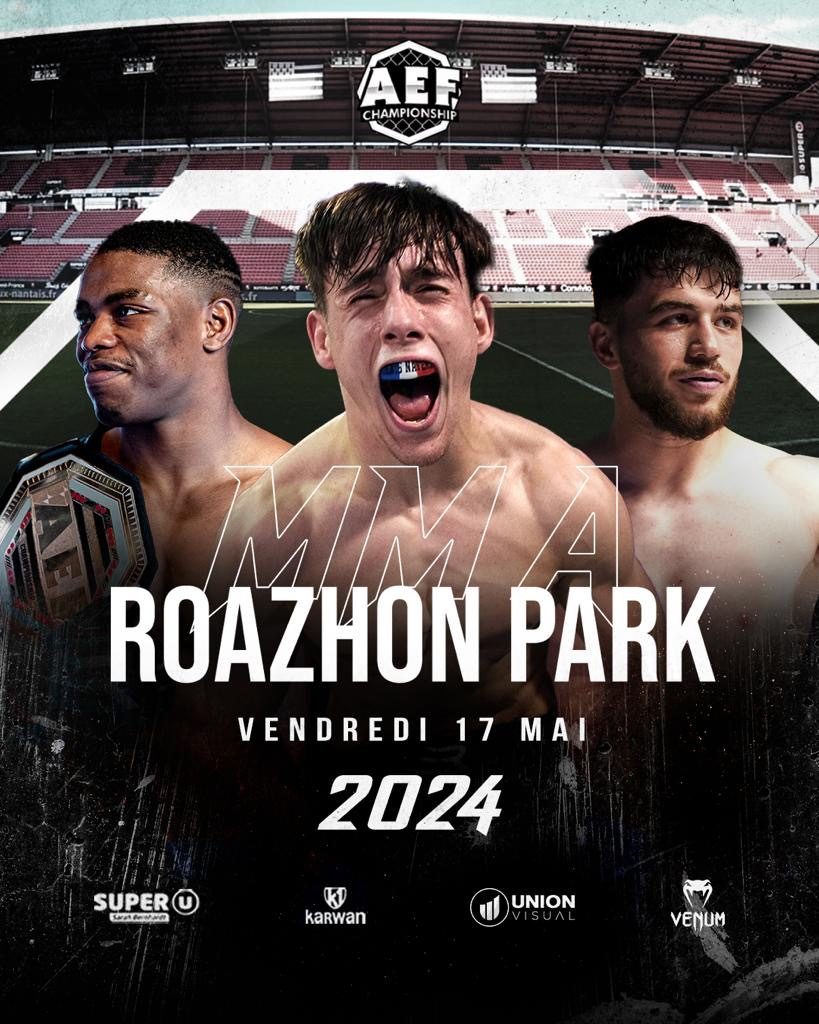 Affiche AEF 6